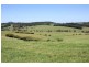 10 Rocky Creek Road, Dorrigo NSW 2453