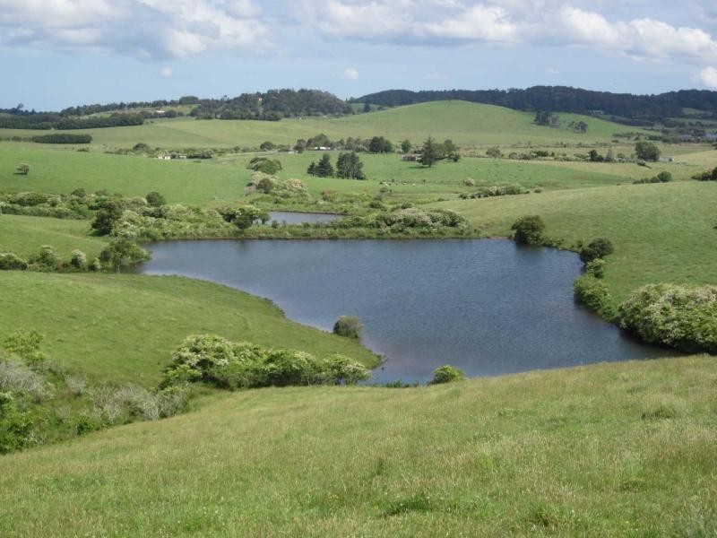 10 Rocky Creek Road, Dorrigo NSW 2453