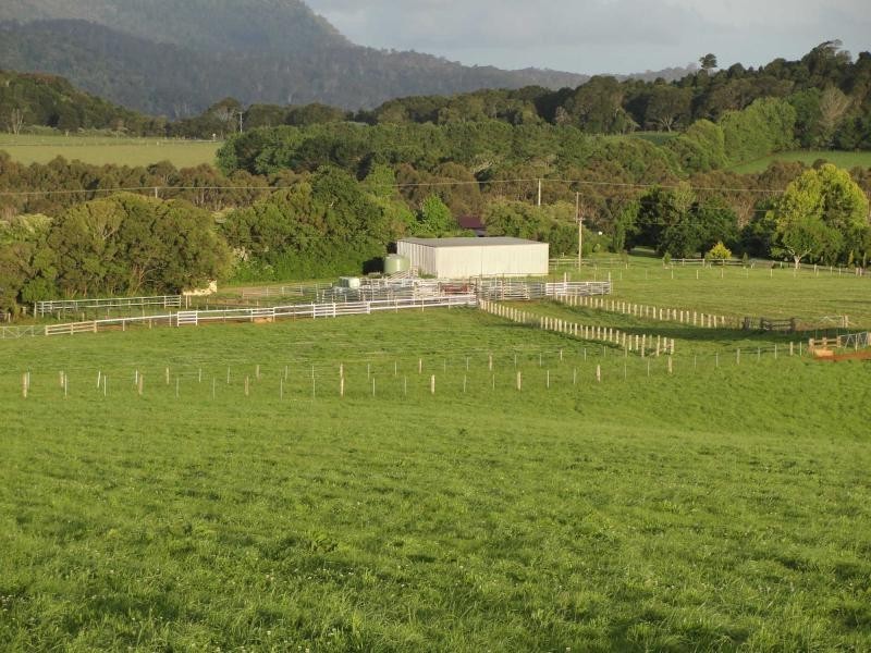 10 Rocky Creek Road, Dorrigo NSW 2453