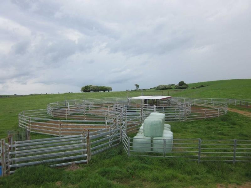 10 Rocky Creek Road, Dorrigo NSW 2453