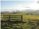 10 Rocky Creek Road, Dorrigo NSW 2453