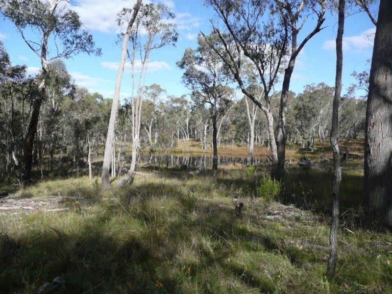 ‘Craigmar’ Lot 130 Watson’s Creek Road, Watsons Creek NSW 2355