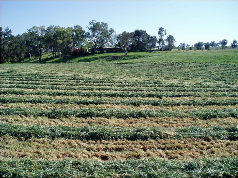 1136 (Wooranook) Duri-Dungowan Road, Tamworth NSW 2340