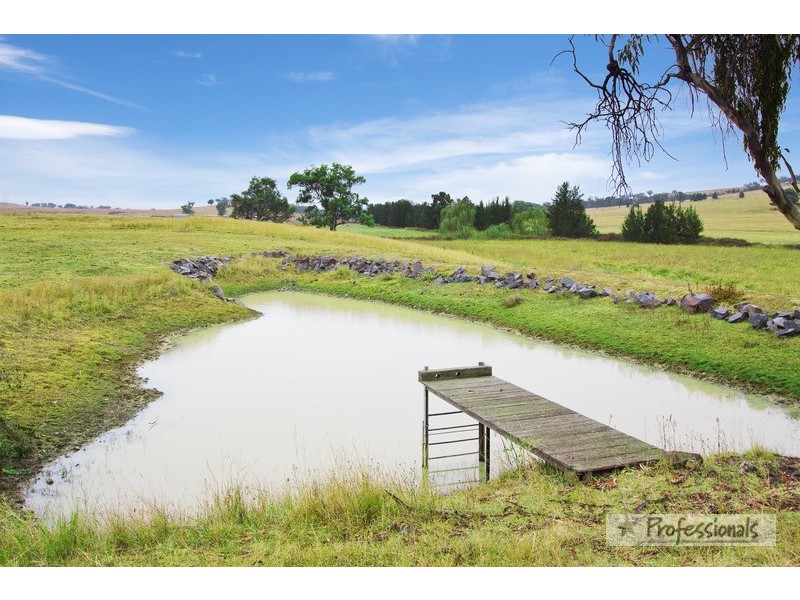 1136 (Wooranook) Duri-Dungowan Road, Tamworth NSW 2340