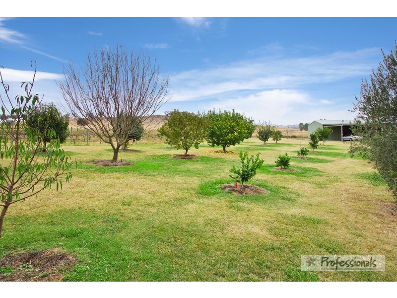 1136 (Wooranook) Duri-Dungowan Road, Tamworth NSW 2340