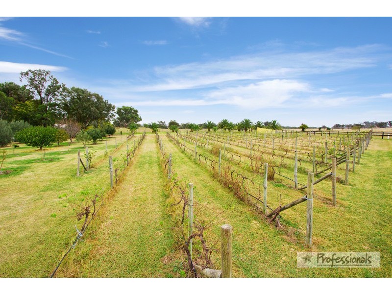 1136 (Wooranook) Duri-Dungowan Road, Tamworth NSW 2340