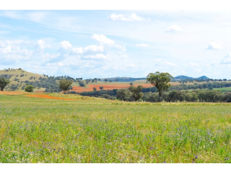 “Kooyong” “Kooyong”, Manilla NSW 2346