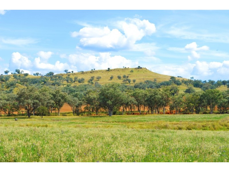 “Kooyong” “Kooyong”, Manilla NSW 2346