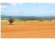 “Kooyong” “Kooyong”, Manilla NSW 2346