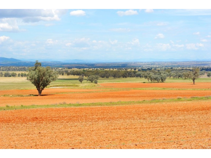 “Kooyong” “Kooyong”, Manilla NSW 2346