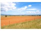 “Kooyong” “Kooyong”, Manilla NSW 2346