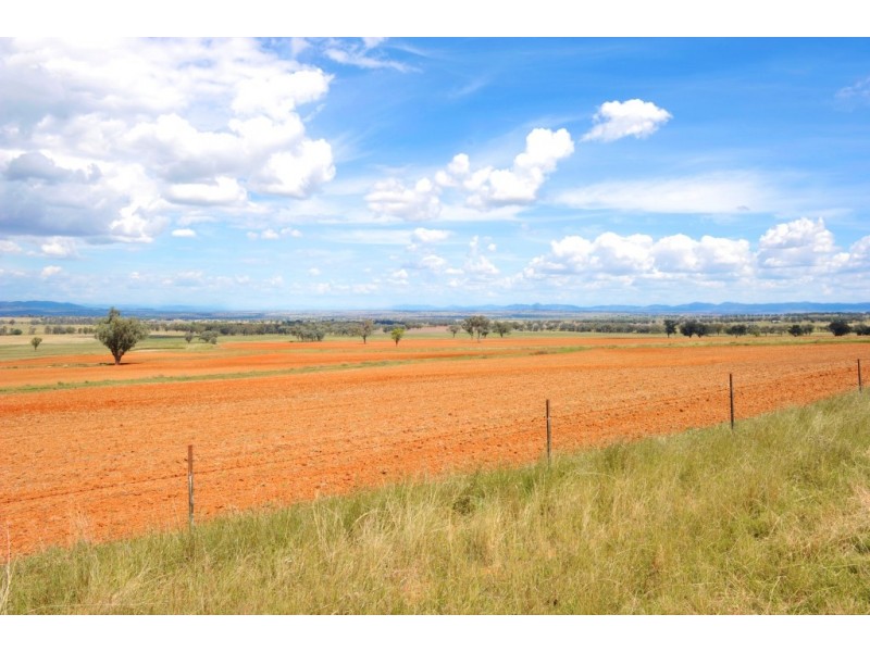 “Kooyong” “Kooyong”, Manilla NSW 2346