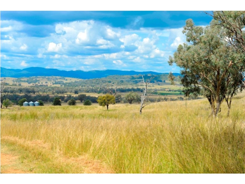 “Kooyong” “Kooyong”, Manilla NSW 2346