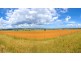 “Kooyong” “Kooyong”, Manilla NSW 2346