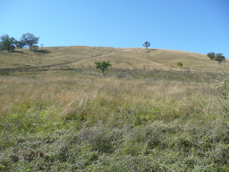 2509 Nundle Road, Woolomin NSW 2340