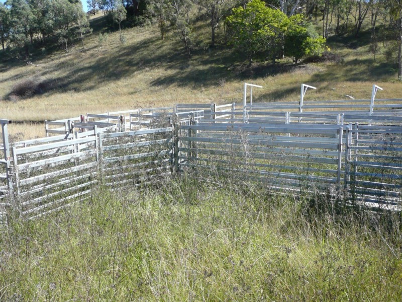 2509 Nundle Road, Woolomin NSW 2340