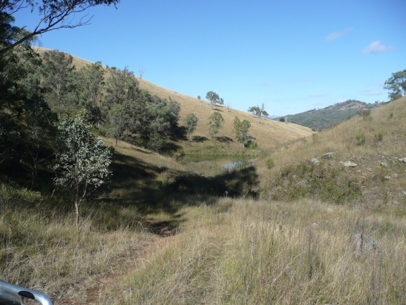 2509 Nundle Road, Woolomin NSW 2340