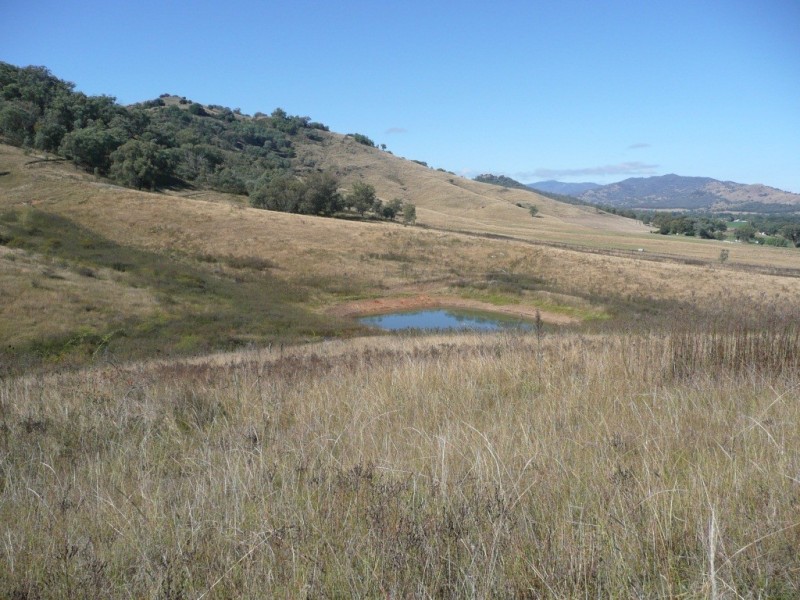 2509 Nundle Road, Woolomin NSW 2340