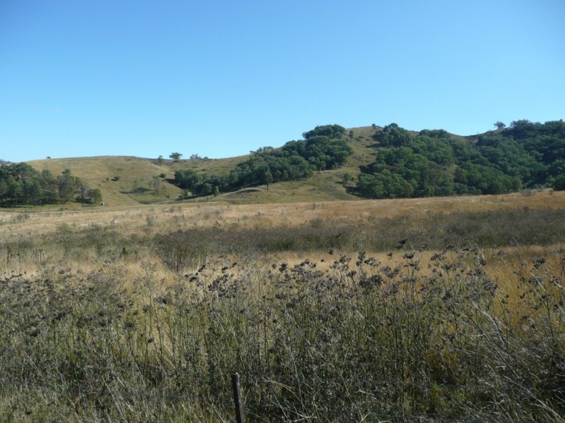 2509 Nundle Road, Woolomin NSW 2340