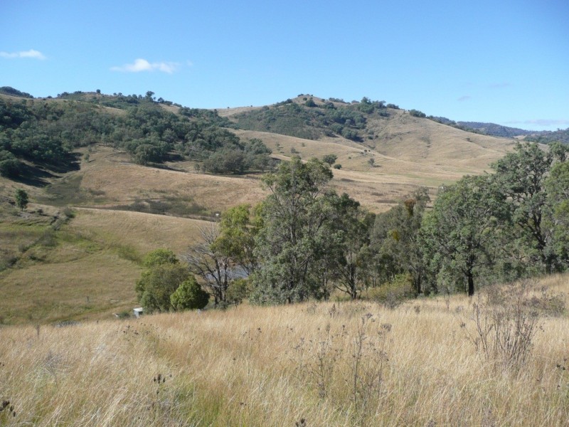 2509 Nundle Road, Woolomin NSW 2340