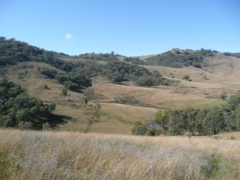 2509 Nundle Road, Woolomin NSW 2340