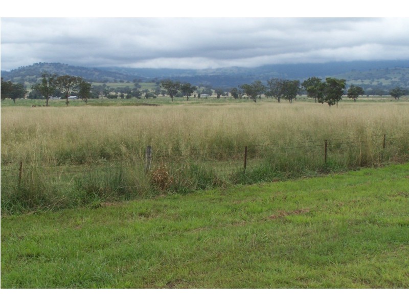 “Eloura” Swinging Ridges Rd, Willow Tree NSW 2339