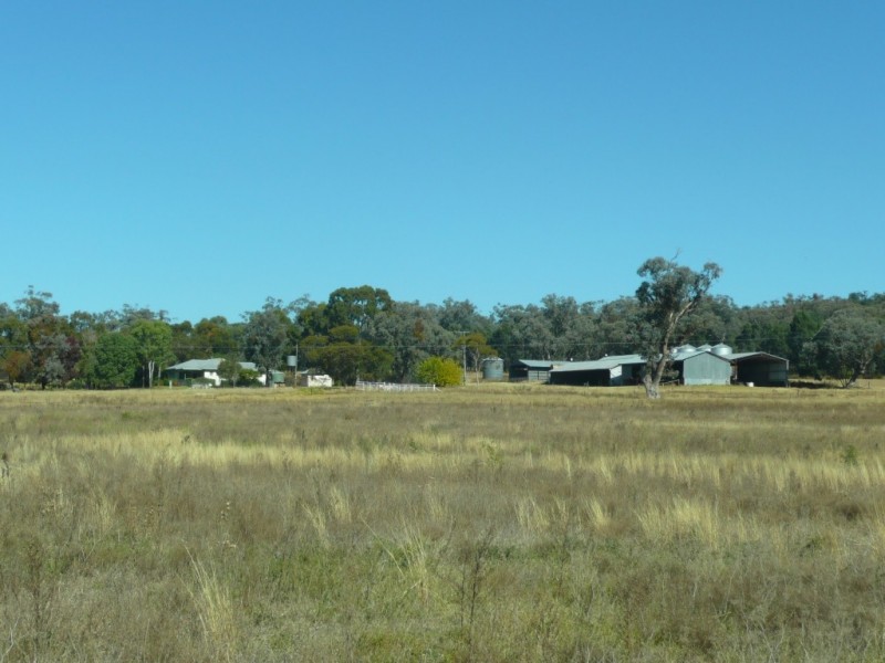 343 Rossmar Park Road, Caroona NSW 2343