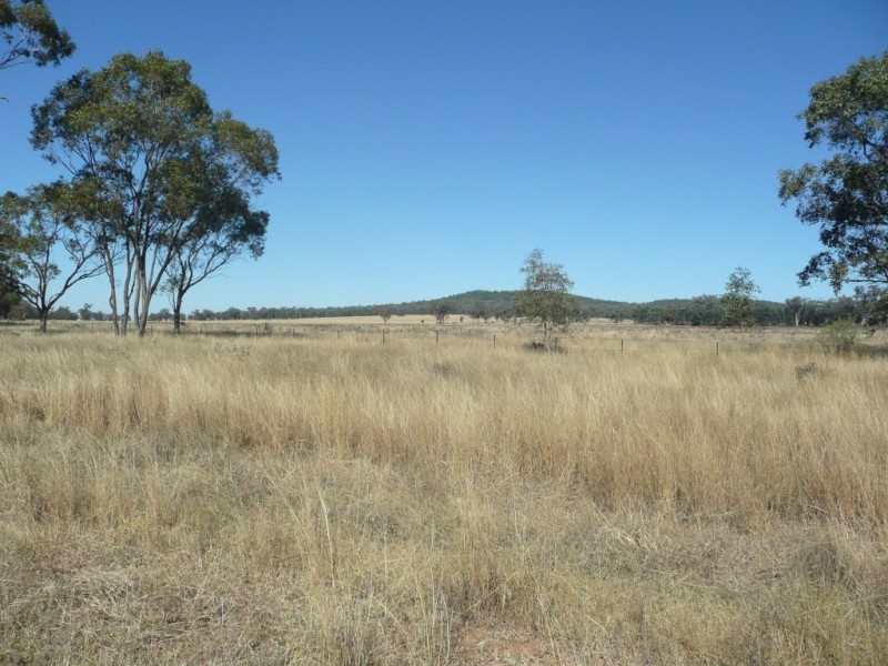343 Rossmar Park Road, Caroona NSW 2343