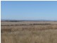 343 Rossmar Park Road, Caroona NSW 2343