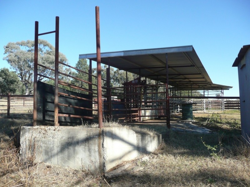 343 Rossmar Park Road, Caroona NSW 2343
