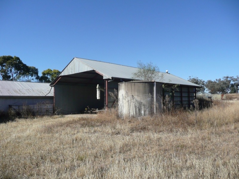 343 Rossmar Park Road, Caroona NSW 2343