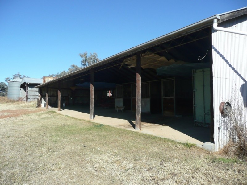 343 Rossmar Park Road, Caroona NSW 2343