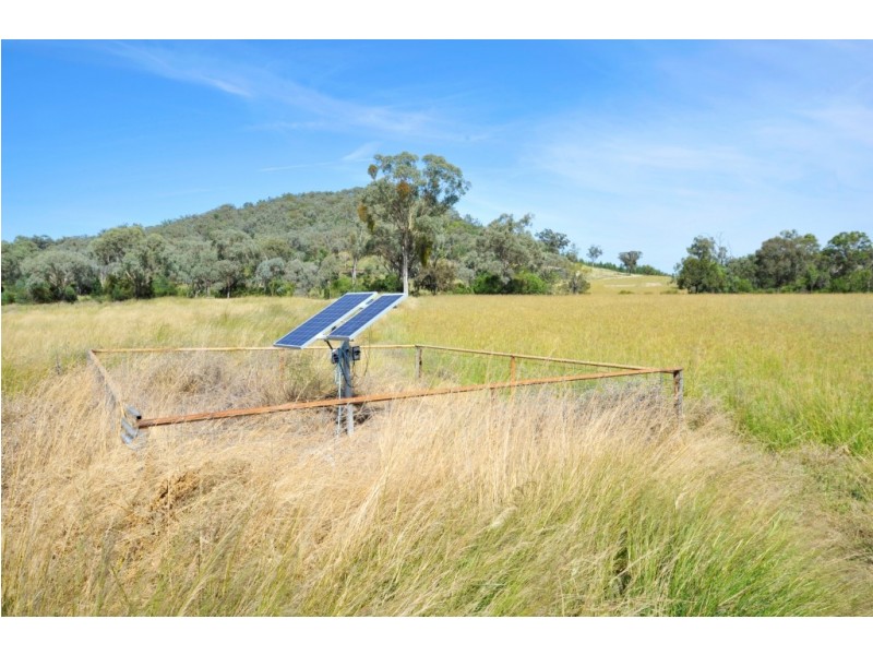 1299 Babbinboon Road, Piallaway NSW 2342