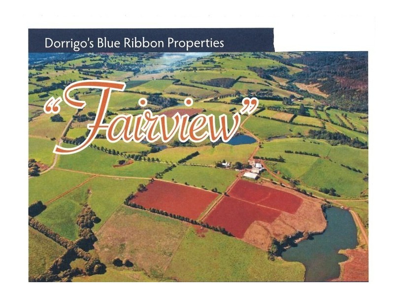 Fairview 408 Tyringham Road, Dorrigo NSW 2453