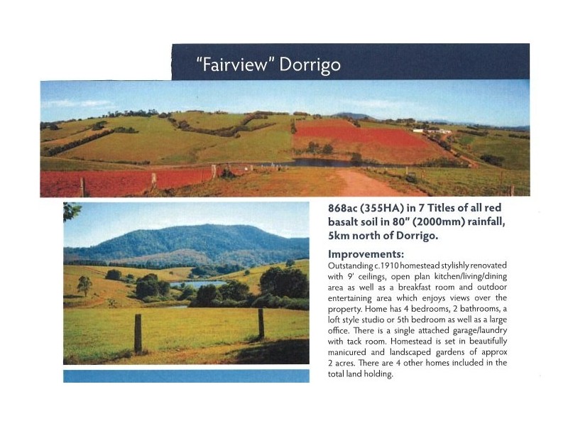 Fairview 408 Tyringham Road, Dorrigo NSW 2453
