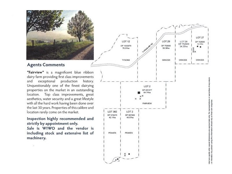 Fairview 408 Tyringham Road, Dorrigo NSW 2453