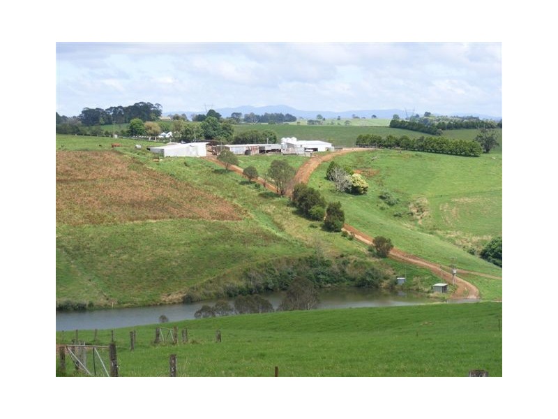 Fairview 408 Tyringham Road, Dorrigo NSW 2453