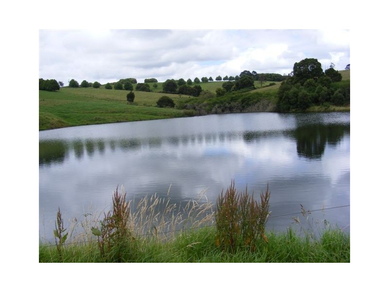 Fairview 408 Tyringham Road, Dorrigo NSW 2453