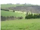 Fairview 408 Tyringham Road, Dorrigo NSW 2453
