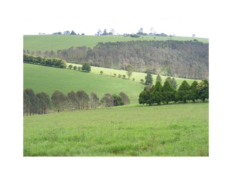 Fairview 408 Tyringham Road, Dorrigo NSW 2453