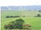 Fairview 408 Tyringham Road, Dorrigo NSW 2453