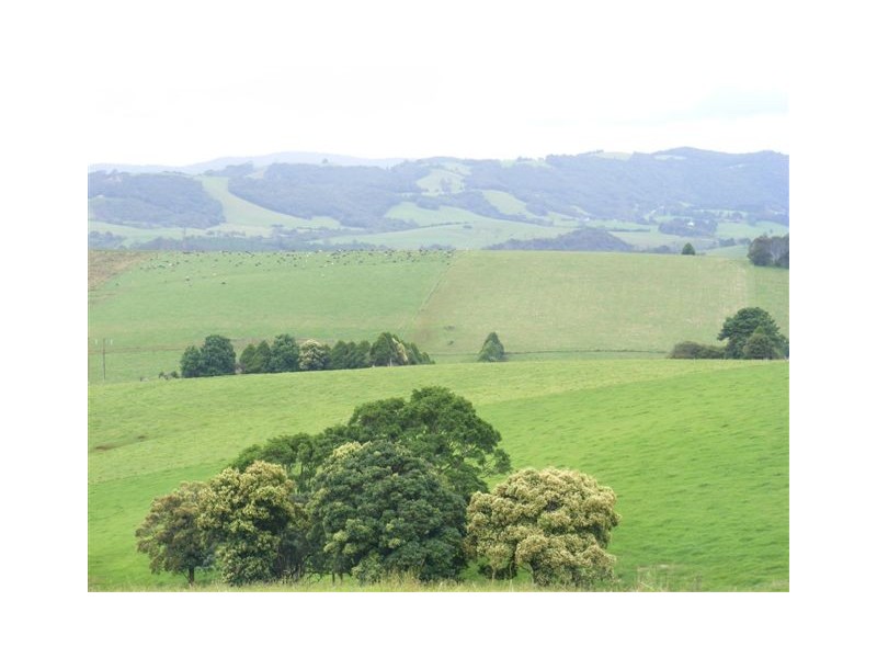 Fairview 408 Tyringham Road, Dorrigo NSW 2453
