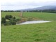 Fairview 408 Tyringham Road, Dorrigo NSW 2453