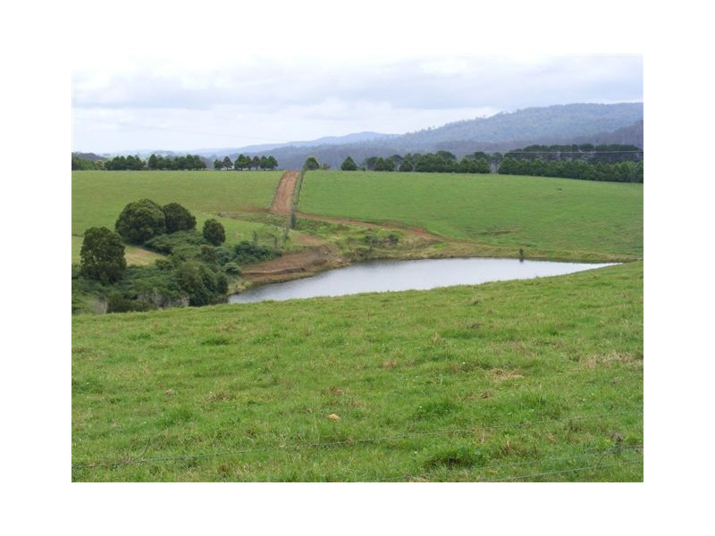 Fairview 408 Tyringham Road, Dorrigo NSW 2453