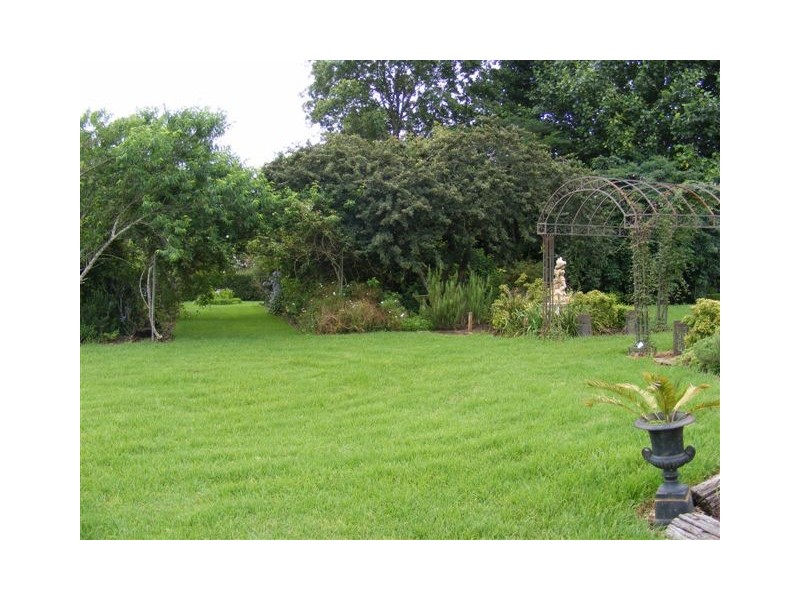 Fairview 408 Tyringham Road, Dorrigo NSW 2453