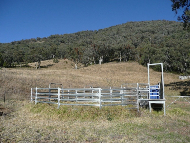 “Vacey” Via Ogunbil Road, Ogunbil NSW 2340