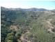 562 Wisemans Arm Road ” Upper Forest View”, Garthowen NSW 2345
