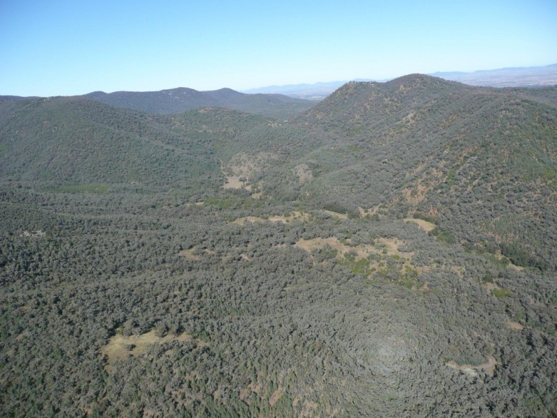 562 Wisemans Arm Road ” Upper Forest View”, Garthowen NSW 2345