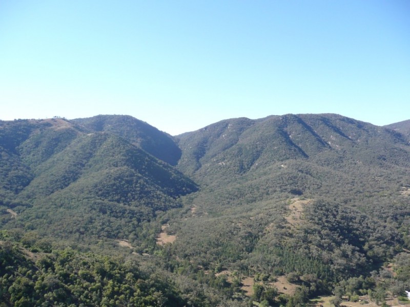 562 Wisemans Arm Road ” Upper Forest View”, Garthowen NSW 2345
