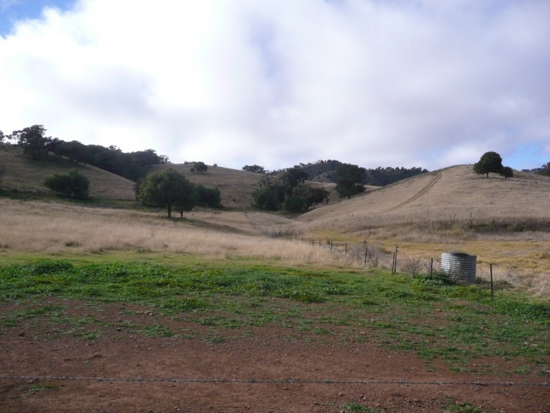 562 Wisemans Arm Road ” Upper Forest View”, Garthowen NSW 2345